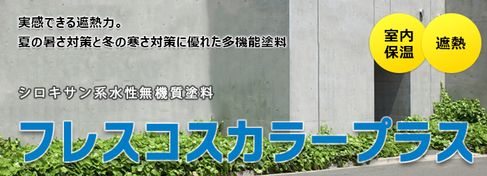 フレスコスカラープラス
